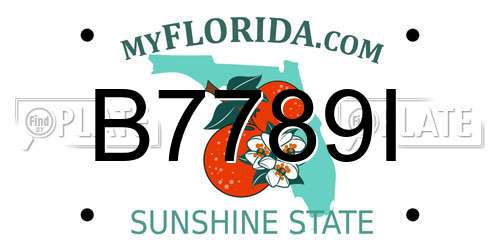 B7789I Florida License Plate