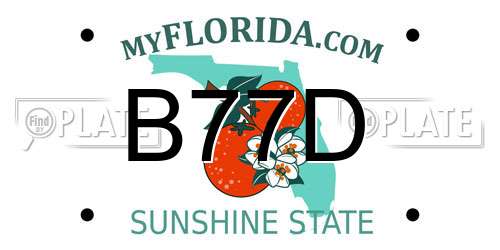 B77D Florida License Plate