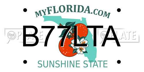 B77LTA Florida License Plate