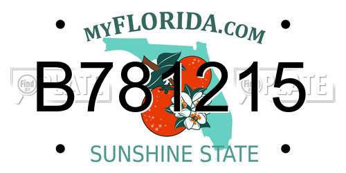 B781215 Florida License Plate