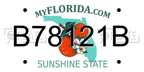 B78121B Florida License Plate