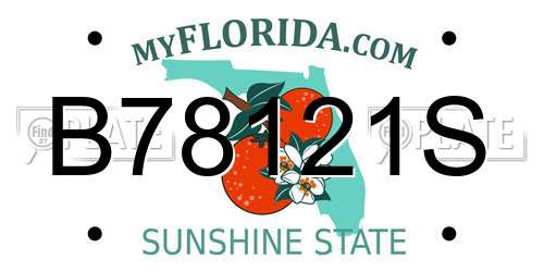 B78121S Florida License Plate