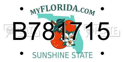 B781715 Florida License Plate