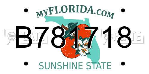 B781718 Florida License Plate