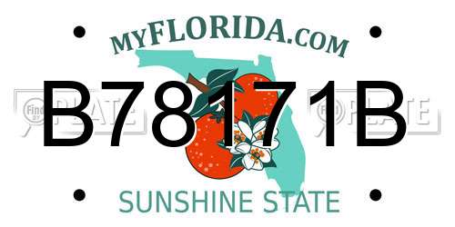 B78171B Florida License Plate