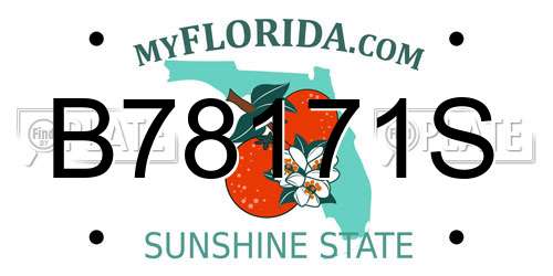 B78171S Florida License Plate