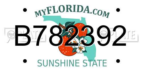 B782392 Florida License Plate