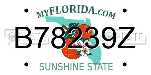 B78239Z Florida License Plate