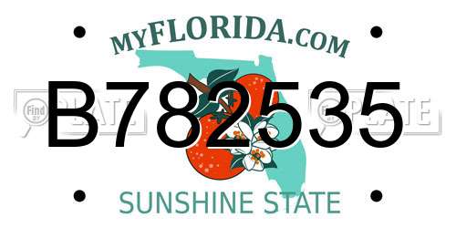 B782535 Florida License Plate