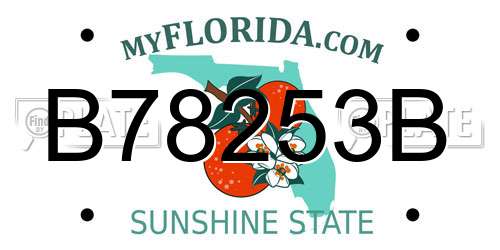 B78253B Florida License Plate