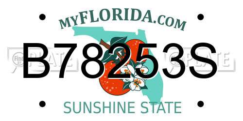 B78253S Florida License Plate