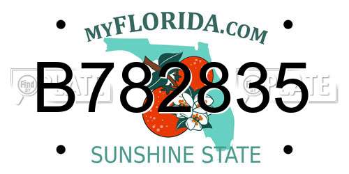 B782835 Florida License Plate