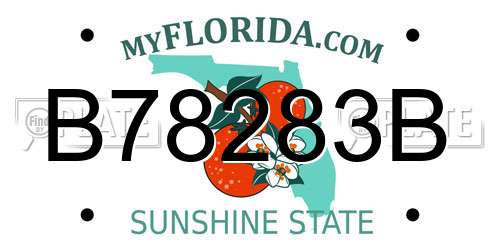 B78283B Florida License Plate