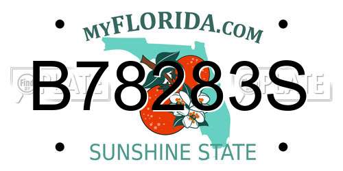 B78283S Florida License Plate