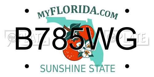 B785WG Florida License Plate