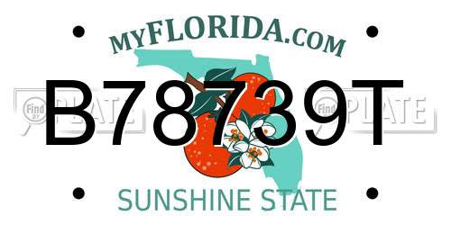 B78739T Florida License Plate