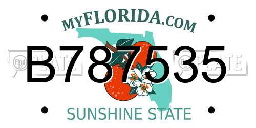 B787535 Florida License Plate