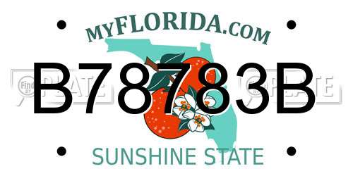 B78783B Florida License Plate
