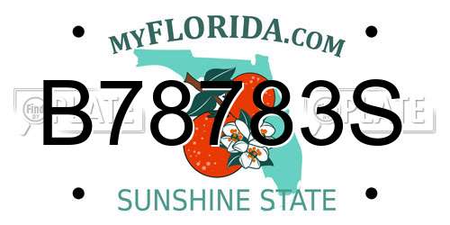 B78783S Florida License Plate