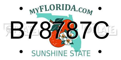 B78787C Florida License Plate