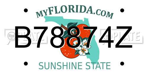 B78874Z Florida License Plate
