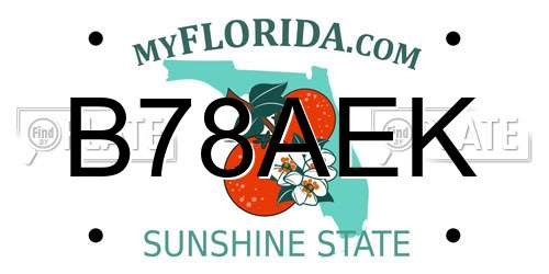B78AEK Florida License Plate