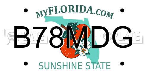 B78MDG Florida License Plate