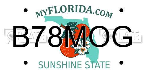 B78MOG Florida License Plate