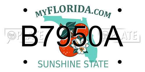 B7950A Florida License Plate