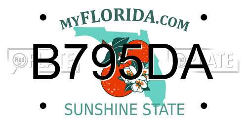 B795DA Florida License Plate