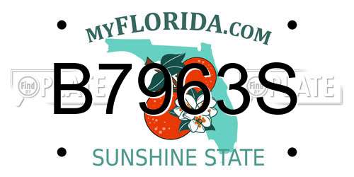 B7963S Florida License Plate