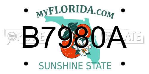 B7980A Florida License Plate