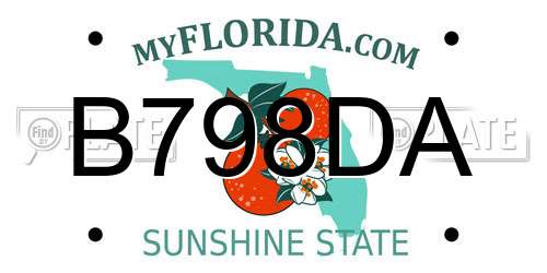 B798DA Florida License Plate