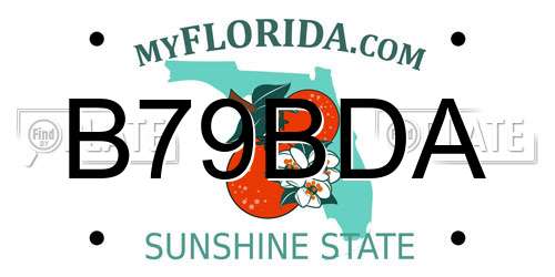 B79BDA Florida License Plate