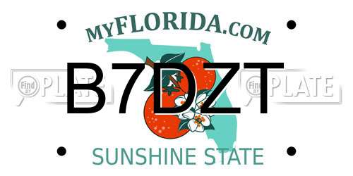 B7DZT Florida License Plate