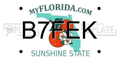 B7FEK Florida License Plate