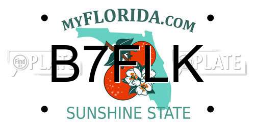 B7FLK Florida License Plate