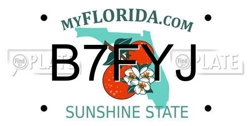 B7FYJ Florida License Plate