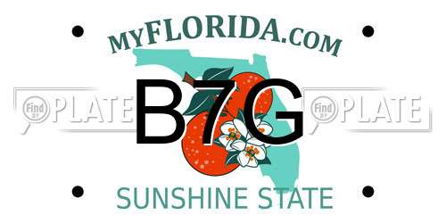 B7G Florida License Plate