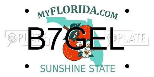 B7GEL Florida License Plate
