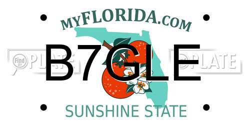 B7GLE Florida License Plate