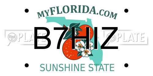 B7HIZ Florida License Plate