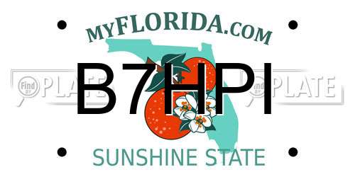 B7HPI Florida License Plate