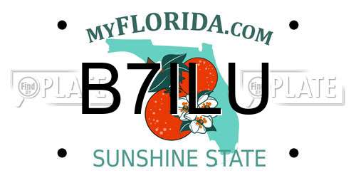 B7ILU Florida License Plate