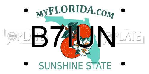 B7IUN Florida License Plate