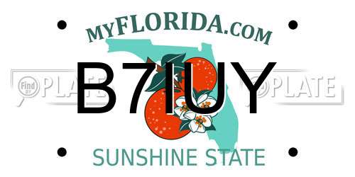 B7IUY Florida License Plate