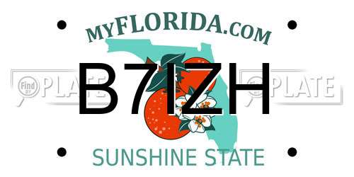 B7IZH Florida License Plate