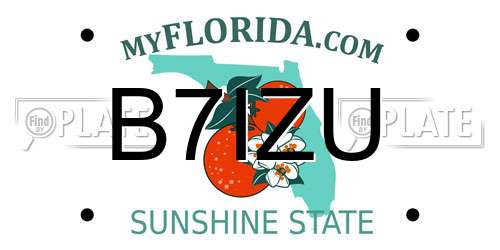 B7IZU Florida License Plate