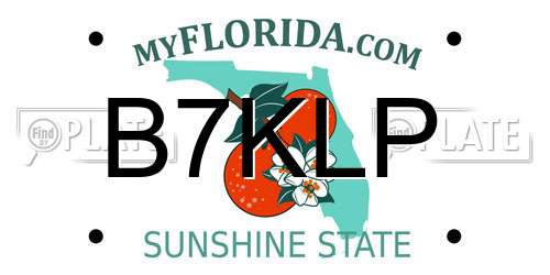 B7KLP Florida License Plate