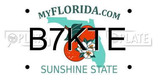 B7KTE Florida License Plate